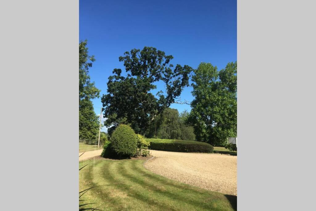Stay On The Grounds Of This Beautiful Manor House Wimborne Minster Exterior photo